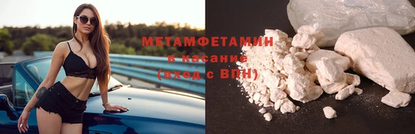 шишки Верея