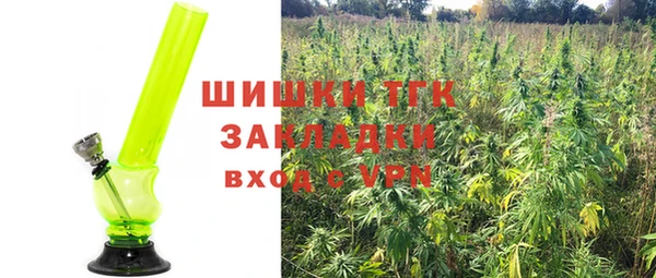 шишки Верея