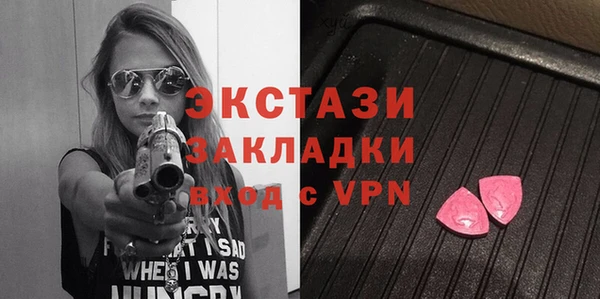 шишки Верея