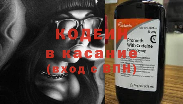 шишки Верея