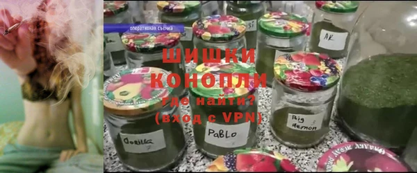 шишки Верея