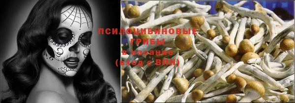 шишки Верея