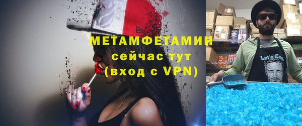 шишки Верея