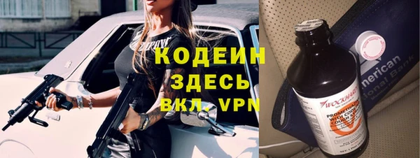 шишки Верея