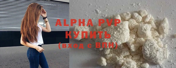 шишки Верея