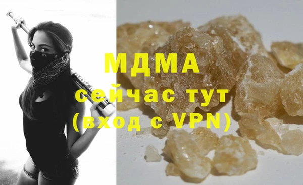 шишки Верея